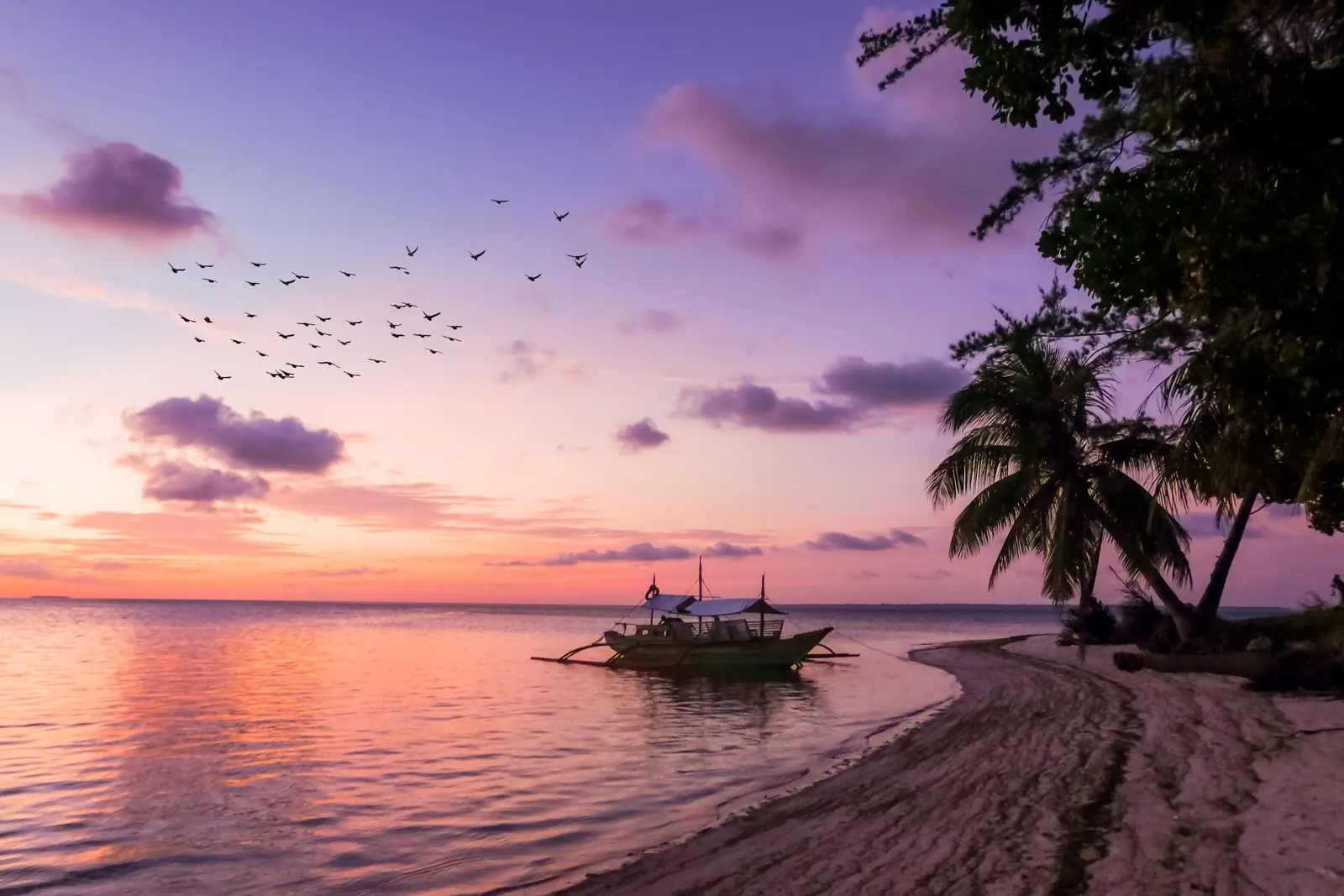 Sonnenuntergang an einem Strand mit Palmen