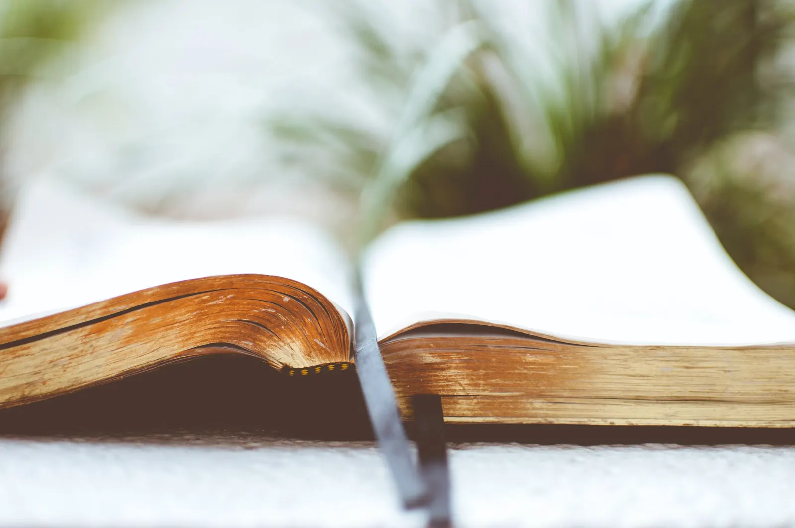 Aufgeschlagenes Buch